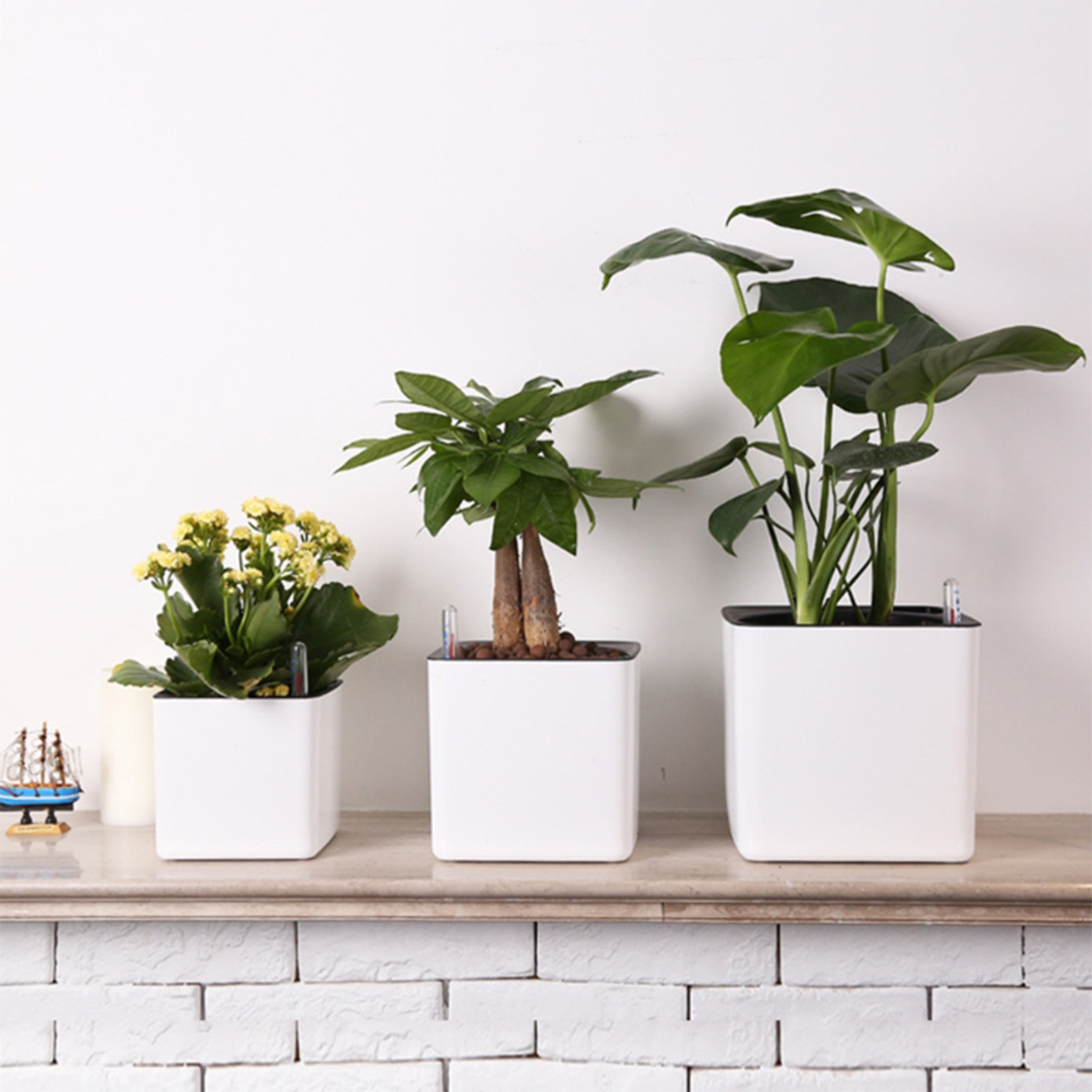 Pot Tanaman Bunga Penyiraman M - Self Watering Insert ulasan dan harga