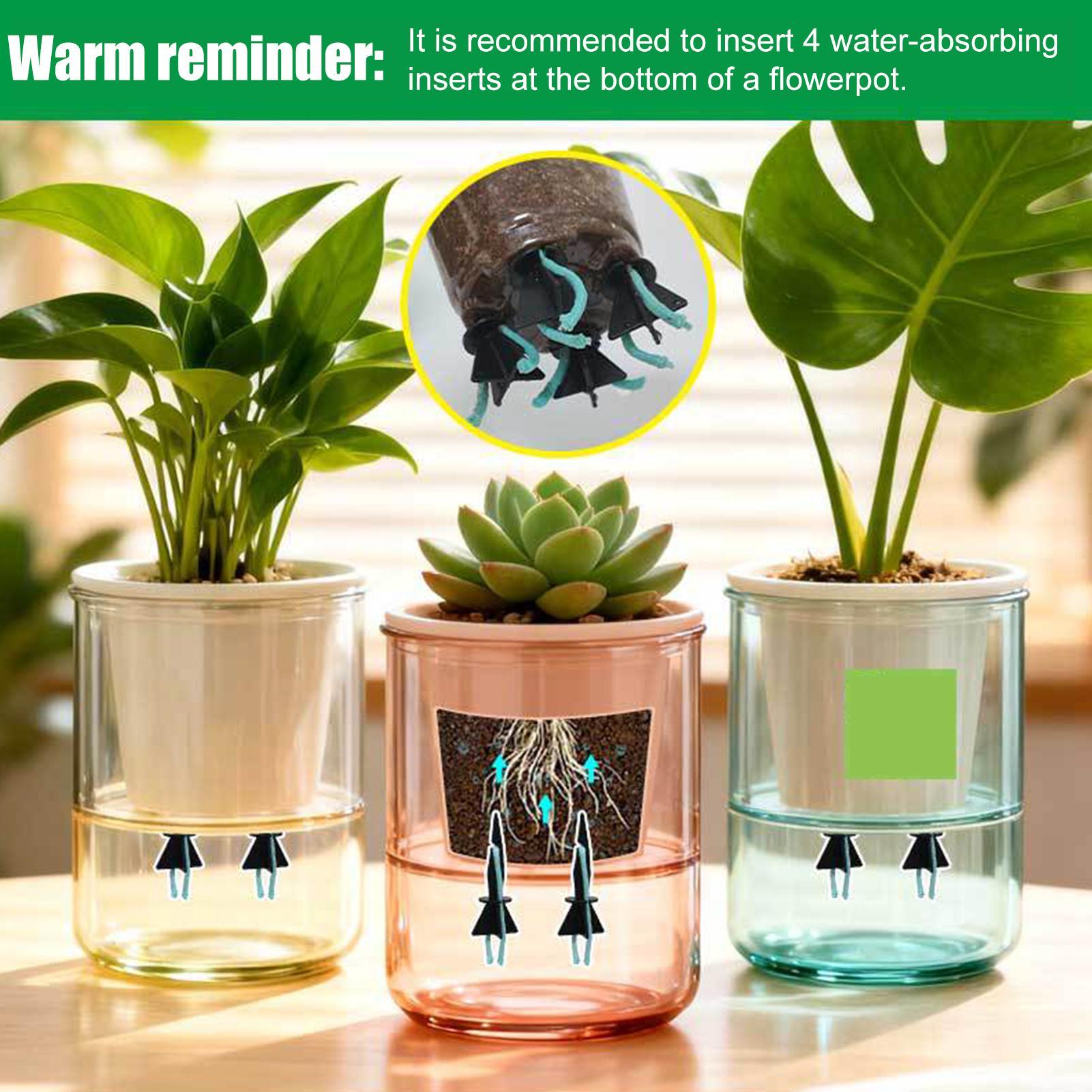 Penyiram Tanaman Otomatis 4 Bu - Self Watering Insert ulasan dan harga