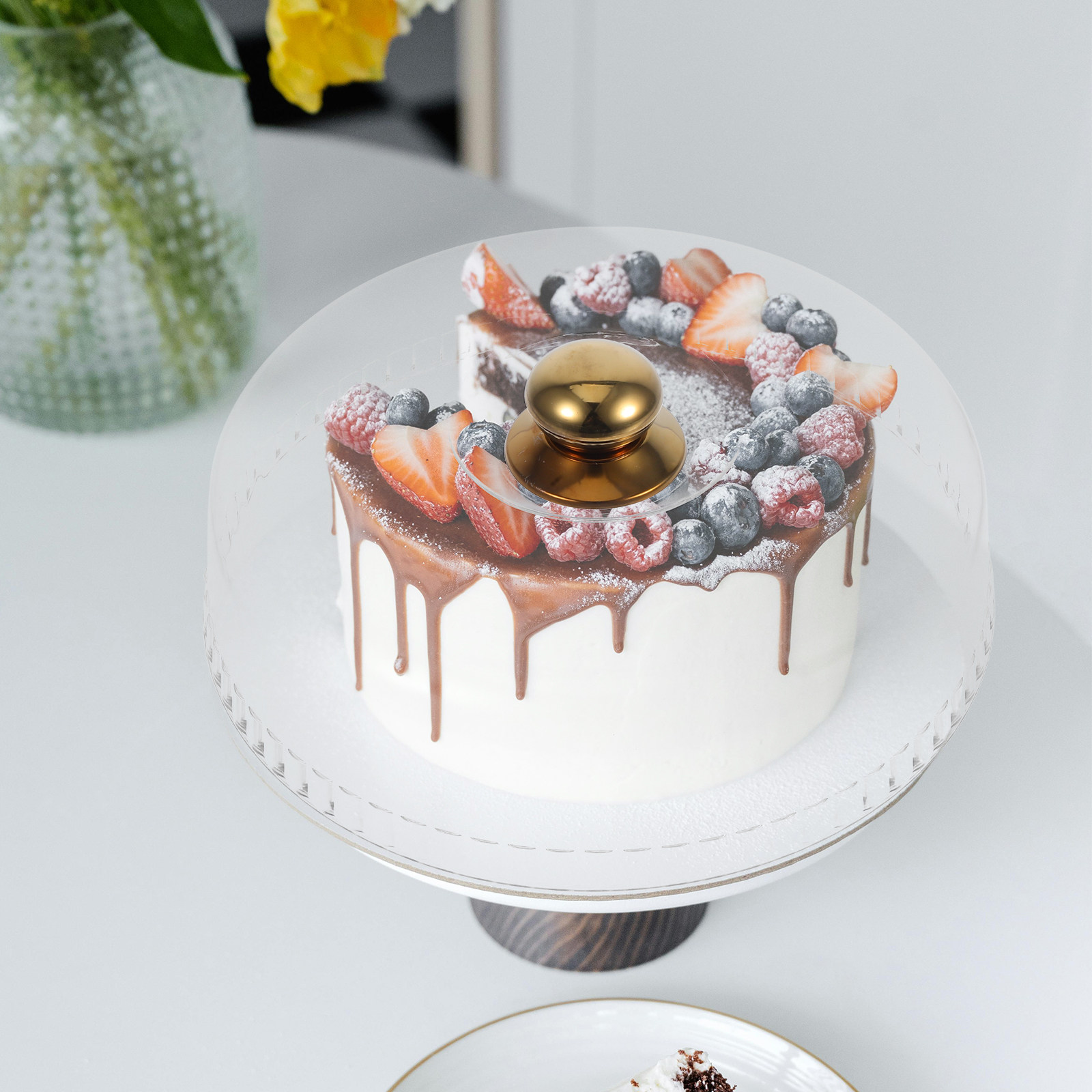 Penutup Kue Akrilik Transparan - Plastic Dome Clear ulasan dan harga